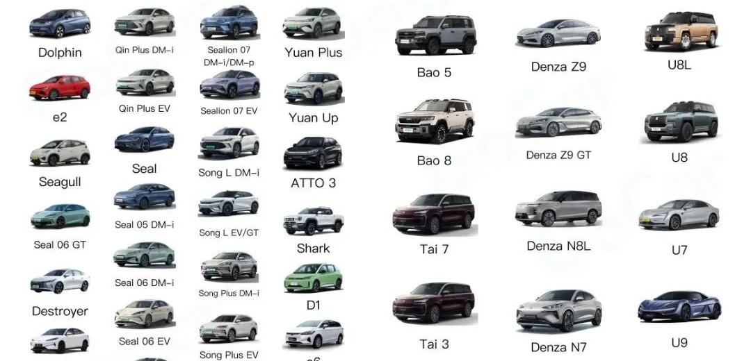 BYD heeft wereldwijd maar liefst 62 modellen in de aanbieding, maar die zijn niet allemaal voor Europa.
